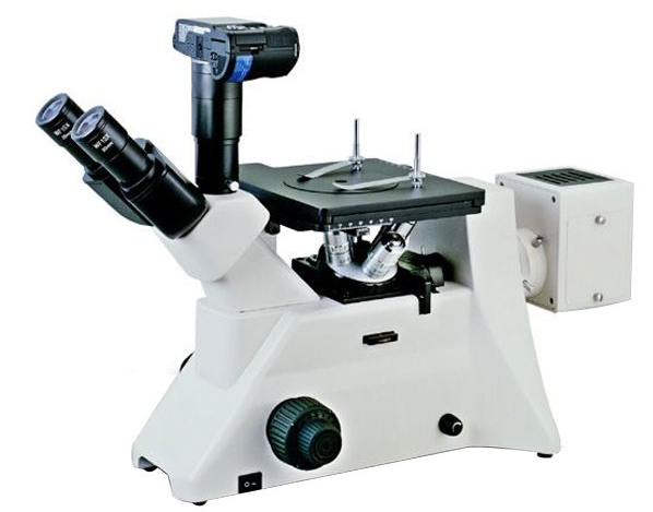 Trinocularの頭部はデジタル カメラ インターフェイスが付いている金属顕微鏡を逆にしました